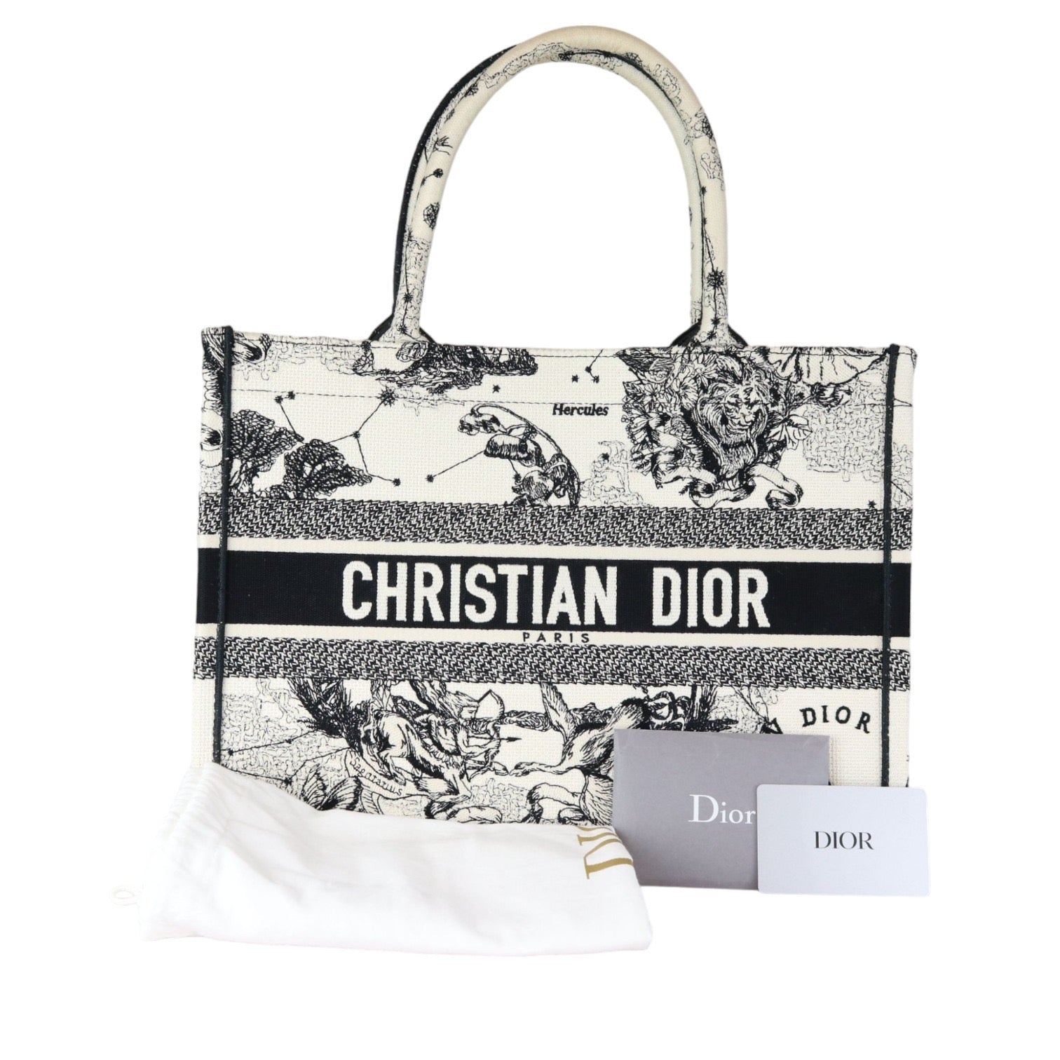 Christian Dior Toile de Jouy Zodiac Book Tote