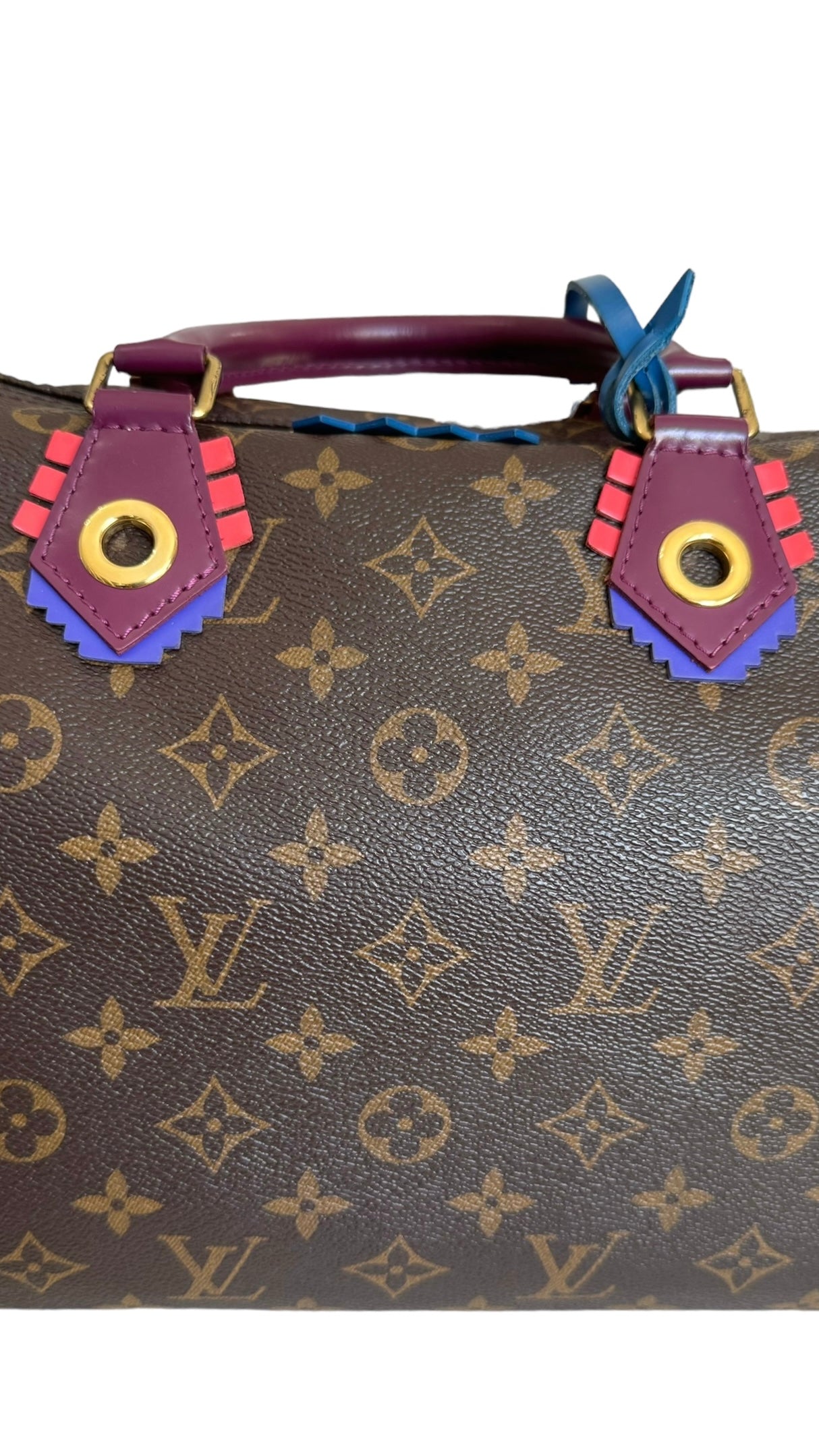 Louis Vuitton LV Speedy 30 Monogram Totem Collection