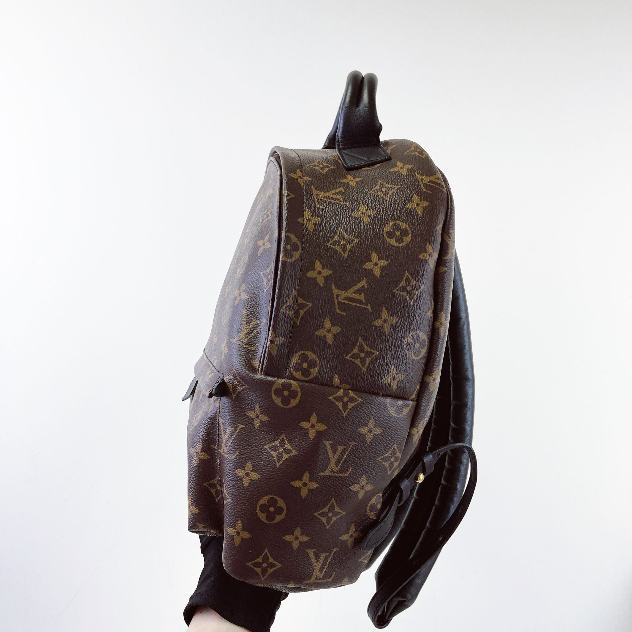 Louis Vuitton Palm Spring MM Monogram Backpack