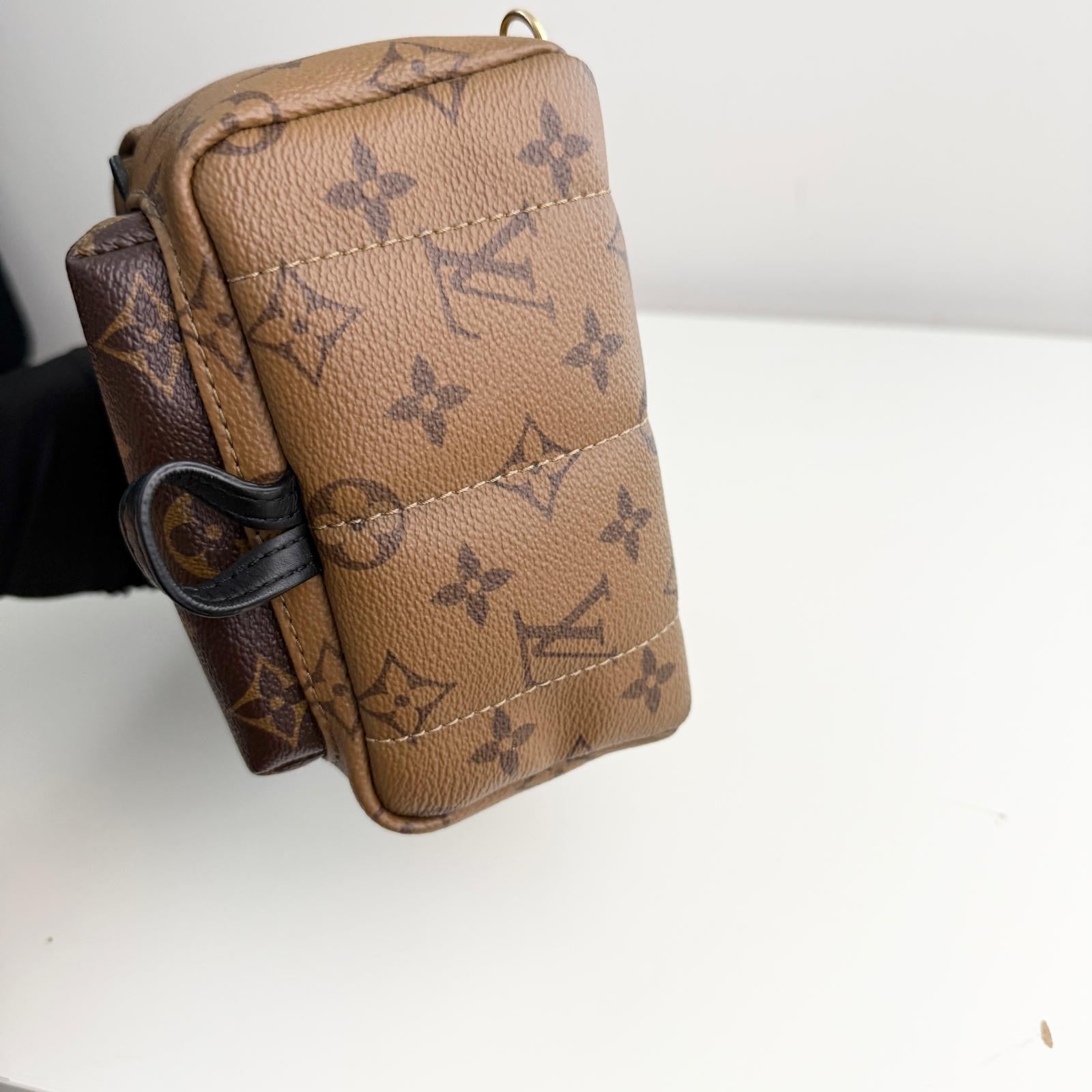 Louis Vuitton Palm Spring Backpack Mini Reverse Monogram