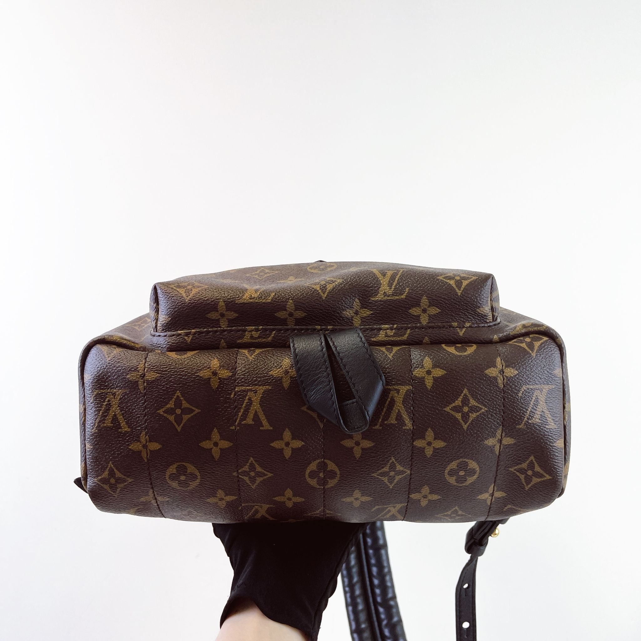 Louis Vuitton Palm Spring MM Monogram Backpack