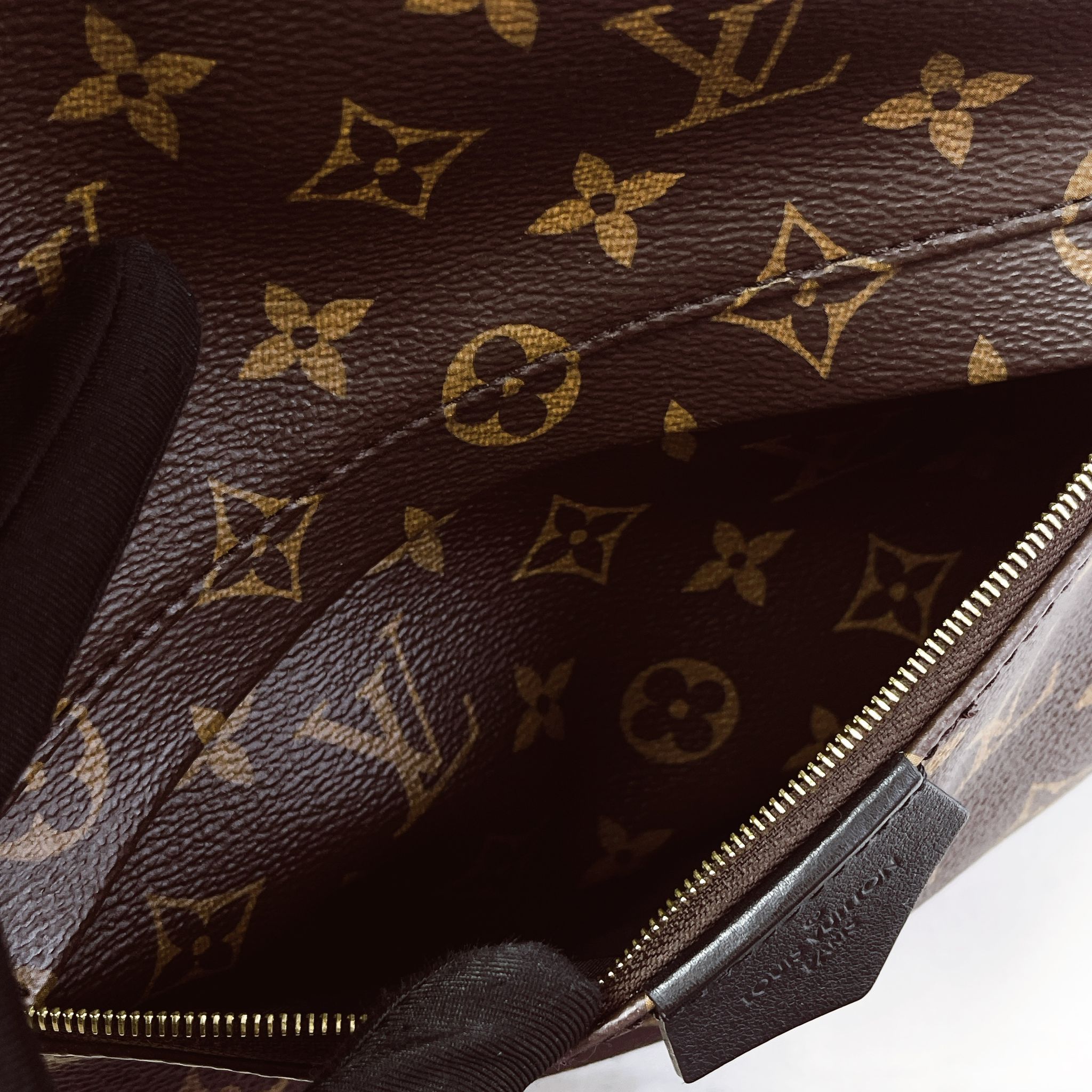 Louis Vuitton Palm Spring MM Monogram Backpack