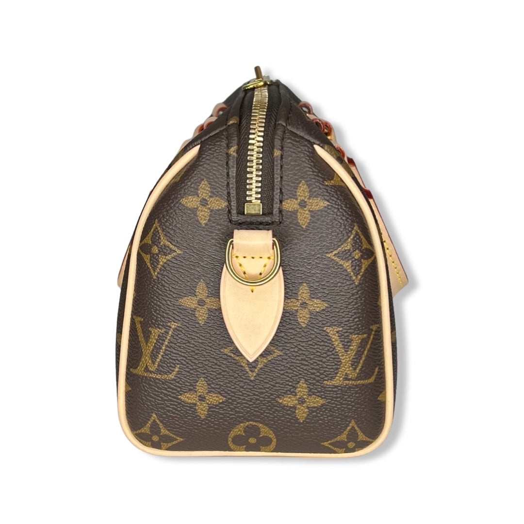 Louis vuitton speedy 20 bandouliere