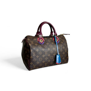 Louis Vuitton LV Speedy 30 Monogram Totem Collection