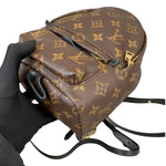 Load image into Gallery viewer, Louis Vuitton Palm Springs Mini
