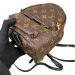 将图片加载到图库查看器，Louis Vuitton LV Palm Springs Mini
