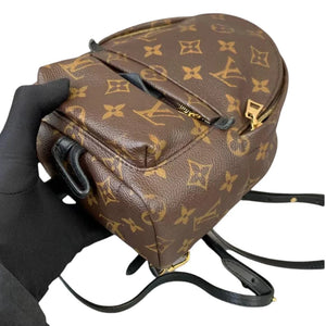 Louis Vuitton LV Palm Springs Mini