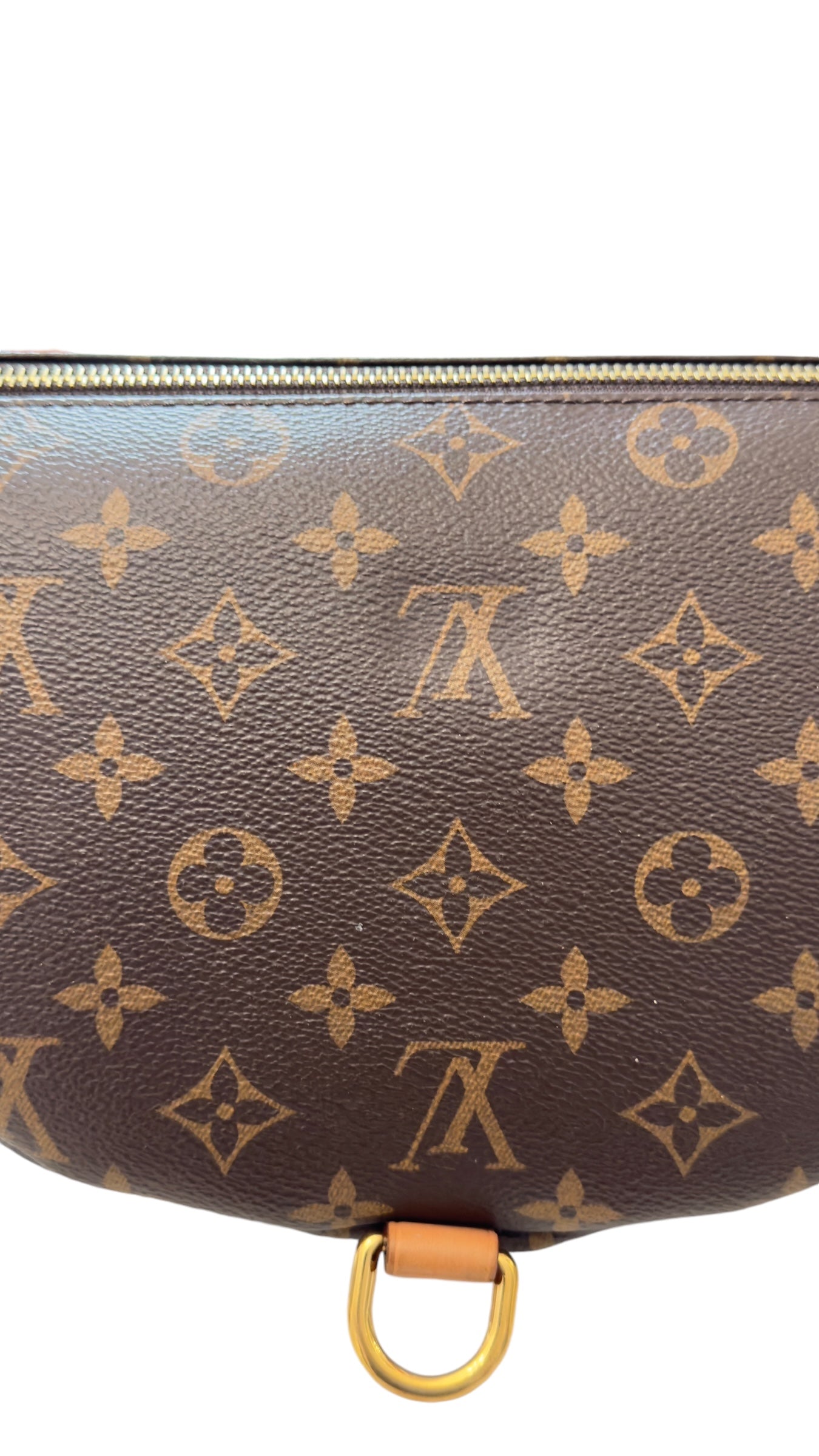 Louis Vuitton Monogram Bumbag