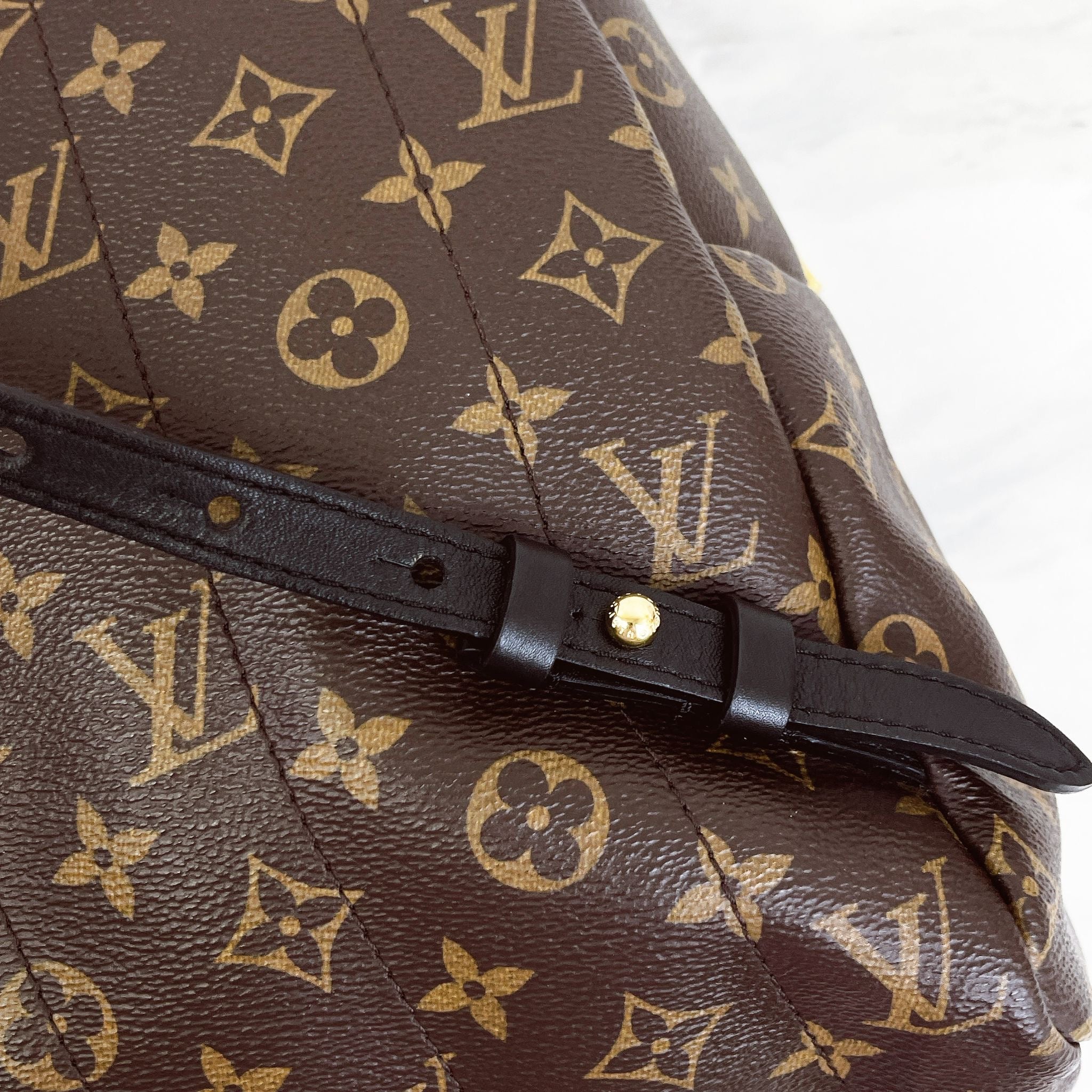 Louis Vuitton Palm Spring MM Monogram Backpack