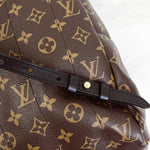 将图片加载到图库查看器，Louis Vuitton Palm Spring MM Monogram Backpack
