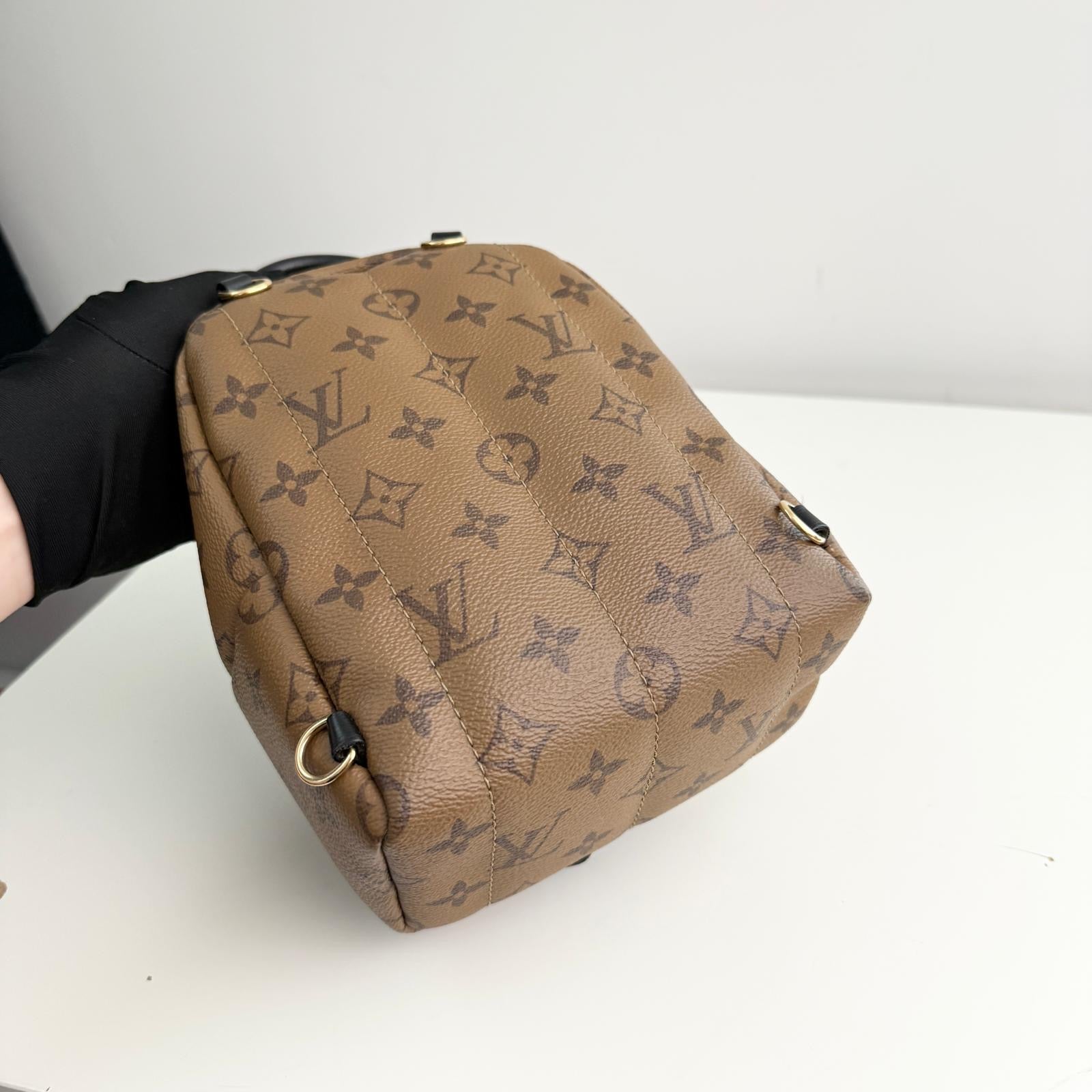 Louis Vuitton Palm Spring Backpack Mini Reverse Monogram