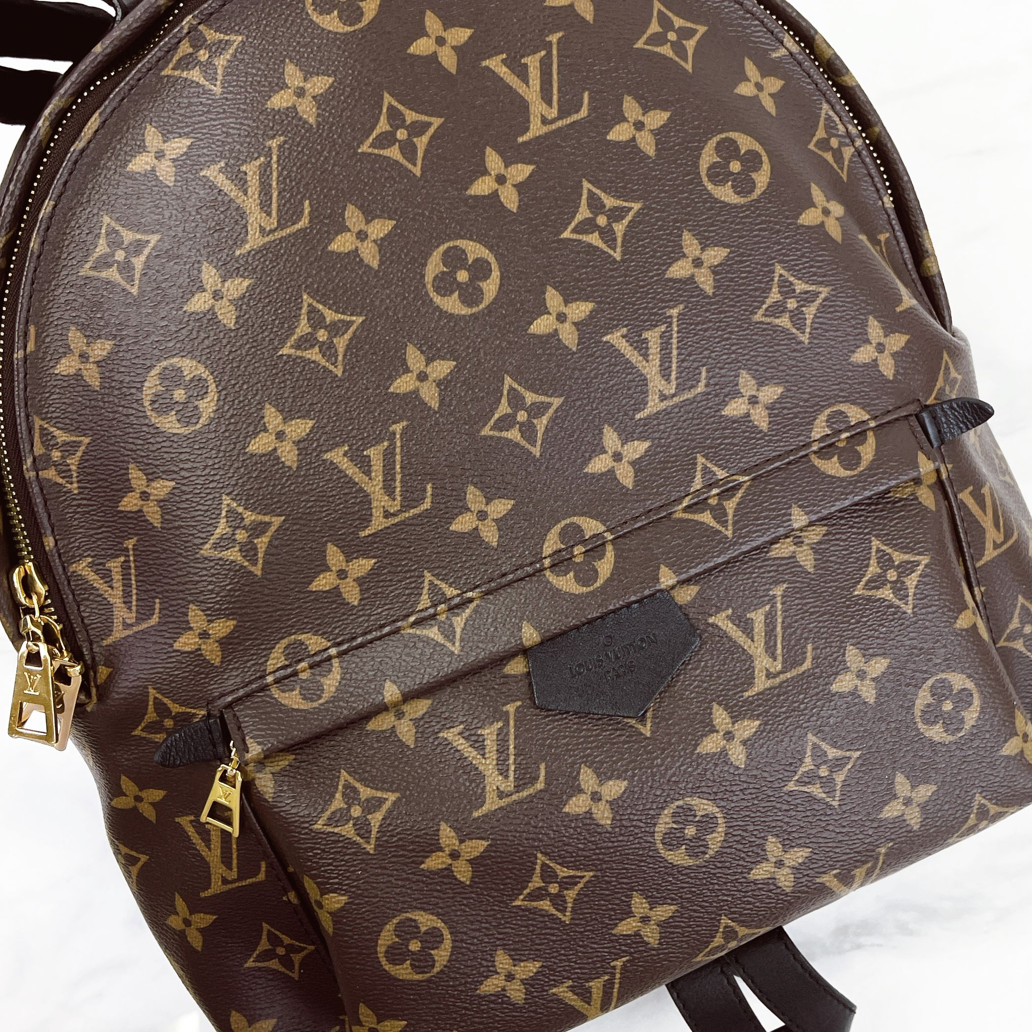 Louis Vuitton Palm Spring MM Monogram Backpack