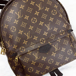 Charger l&#39;image dans la galerie, Louis Vuitton Palm Spring MM Monogram Backpack
