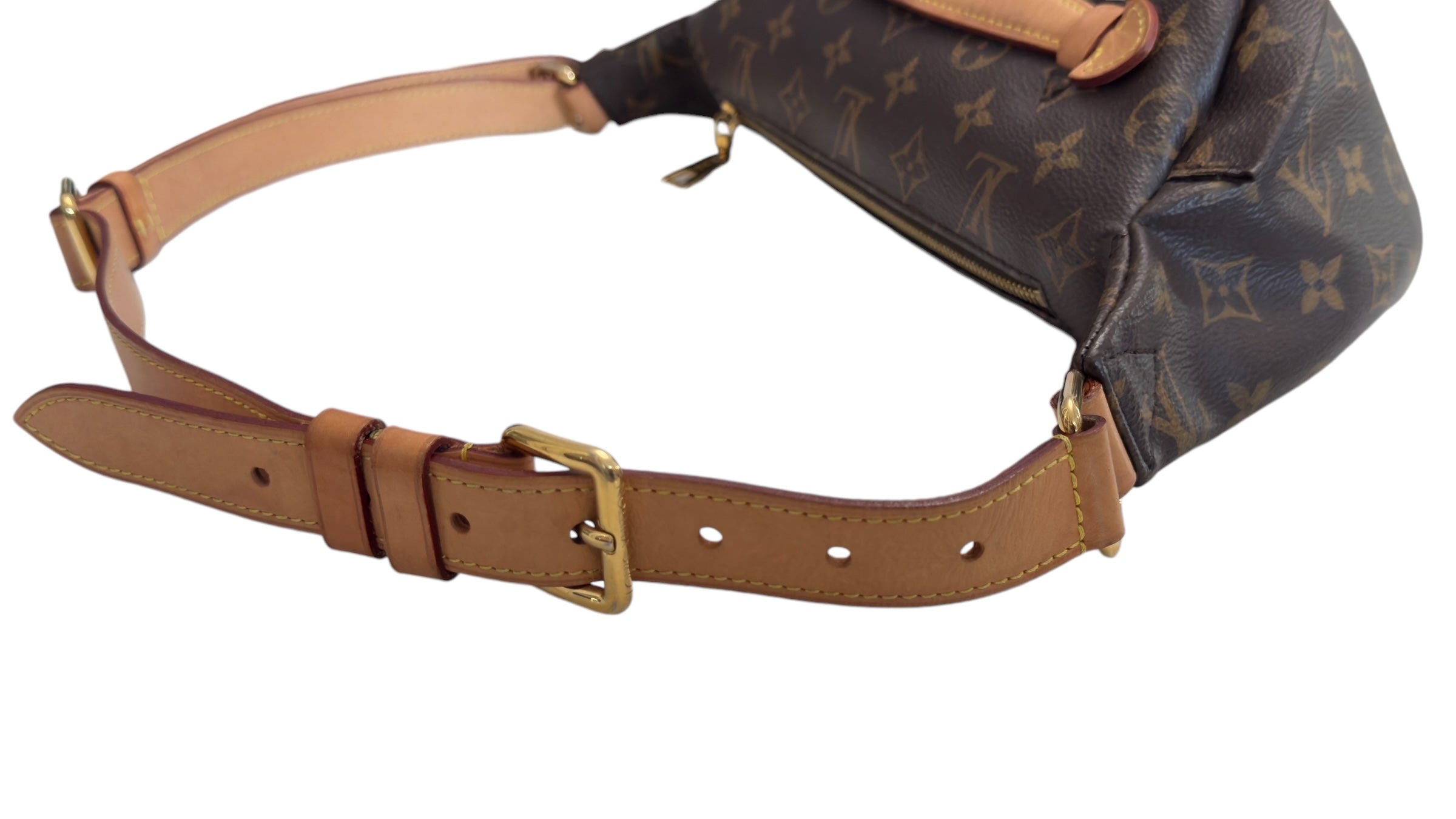 Louis Vuitton Monogram Bumbag