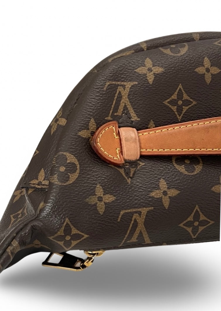 Louis Vuitton Monogram Bumbag