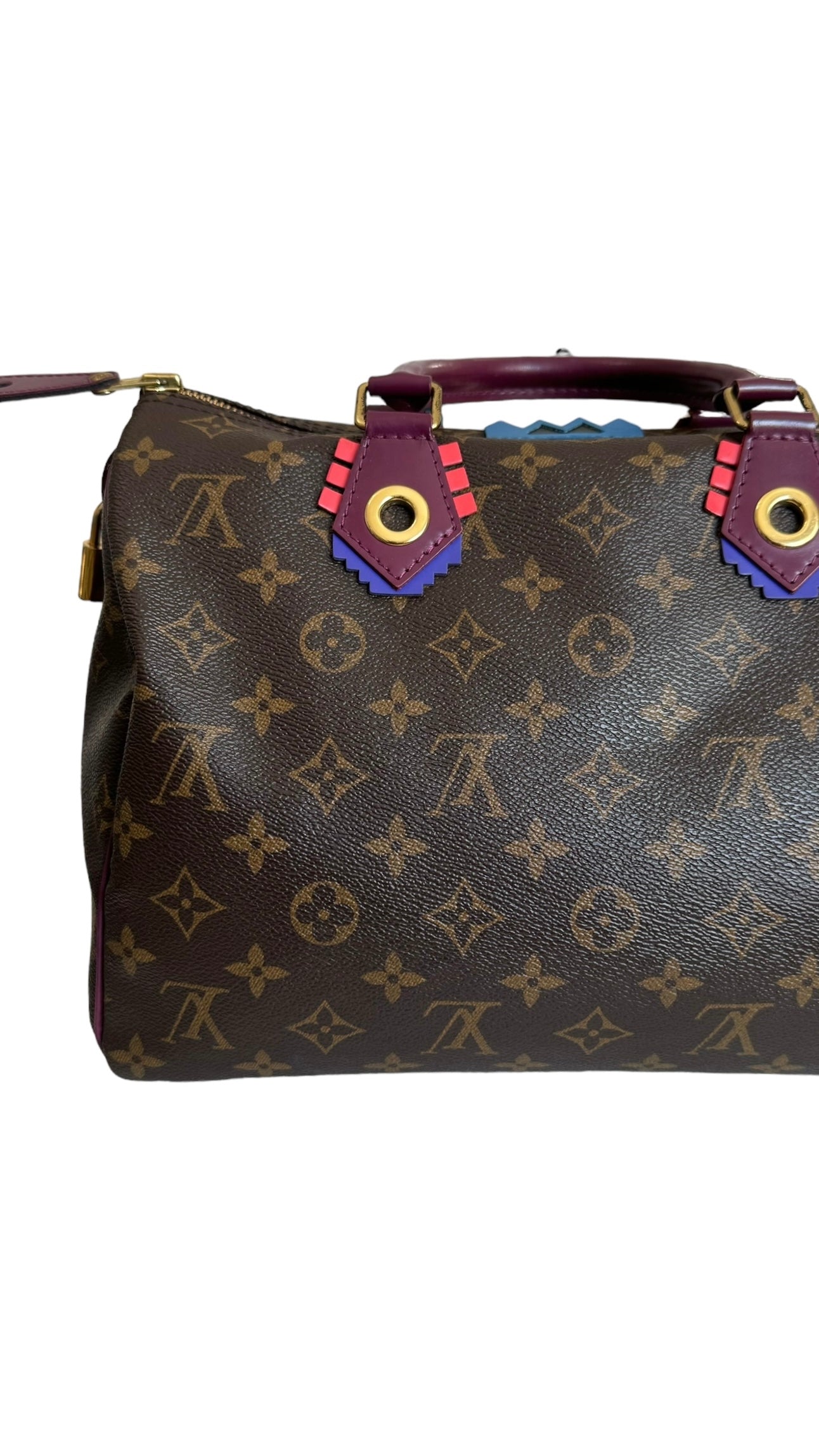 Louis Vuitton LV Speedy 30 Monogram Totem Collection