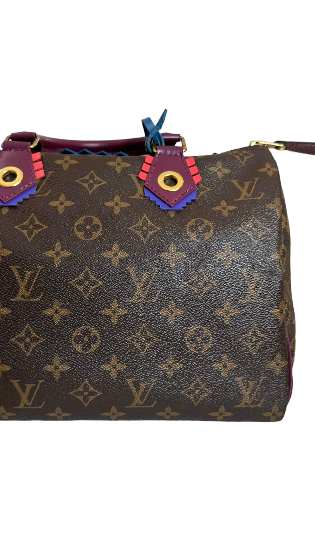 Louis Vuitton LV Speedy 30 Monogram Totem Collection