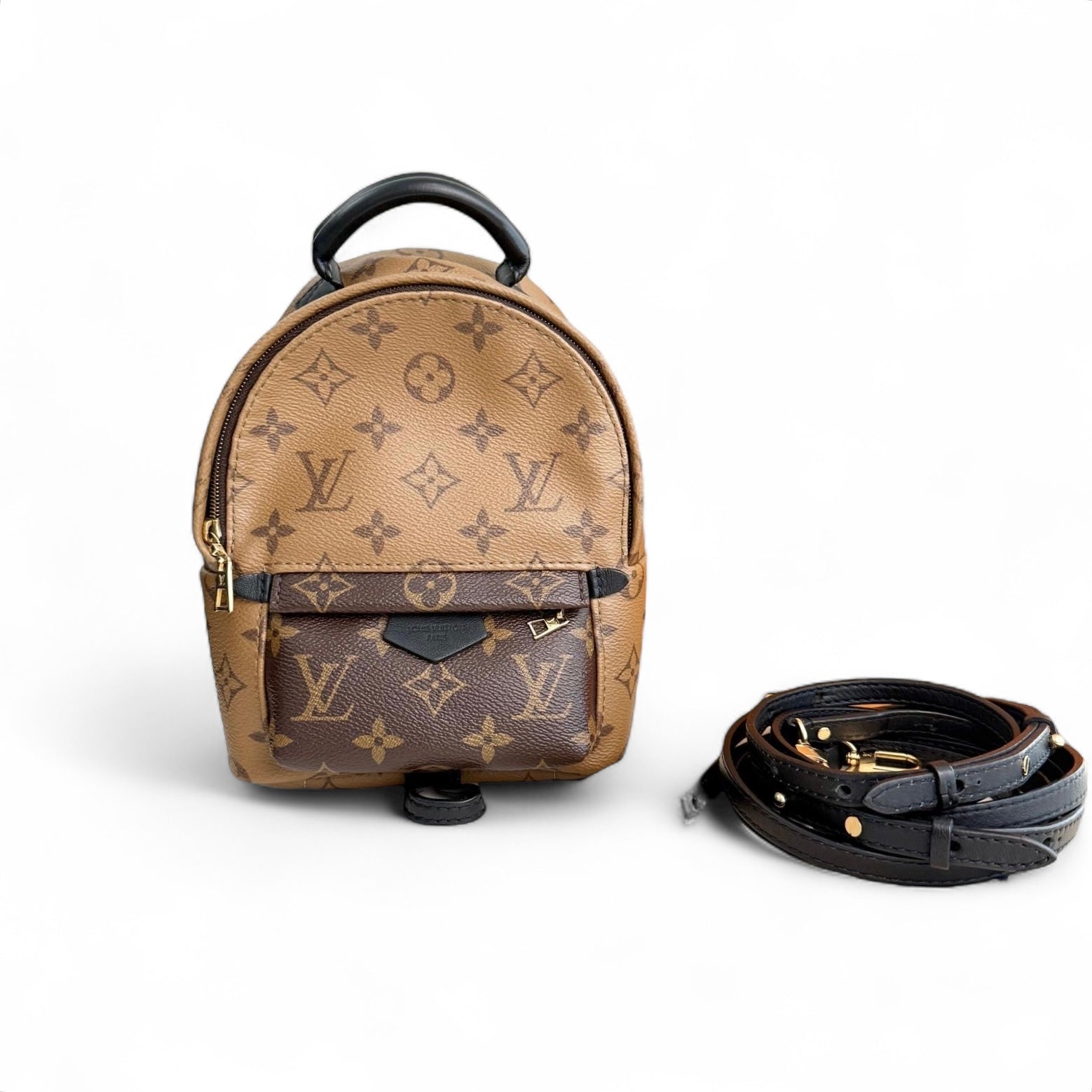 Louis Vuitton Palm Spring Backpack Mini Reverse Monogram