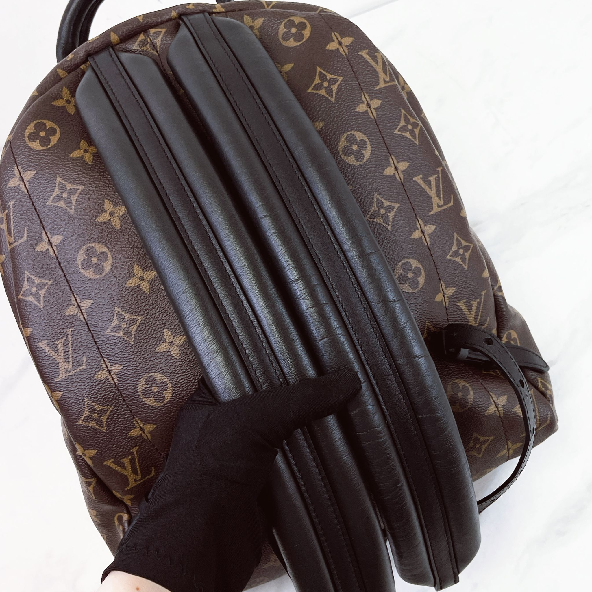 Louis Vuitton Palm Spring MM Monogram Backpack