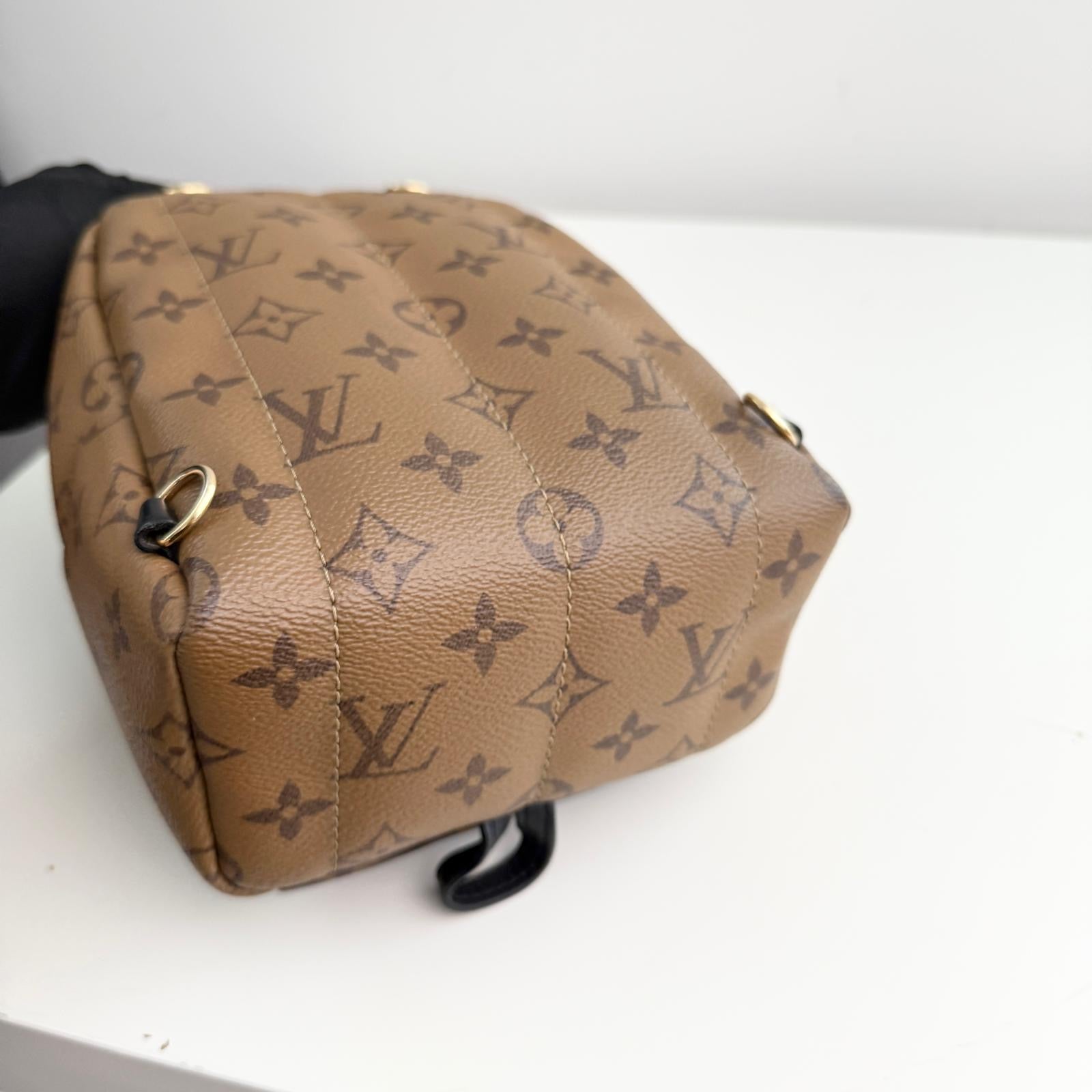 Louis Vuitton Palm Spring Backpack Mini Reverse Monogram