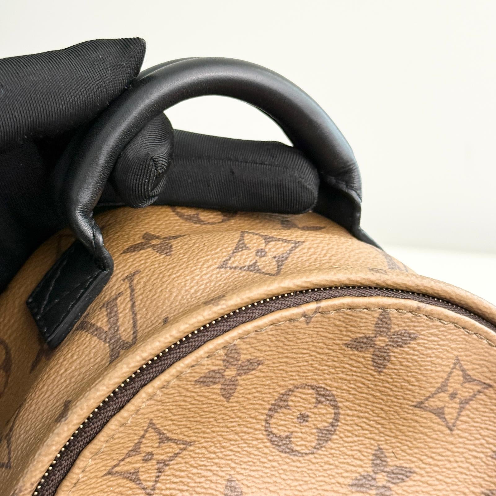 Louis Vuitton Palm Spring Backpack Mini Reverse Monogram