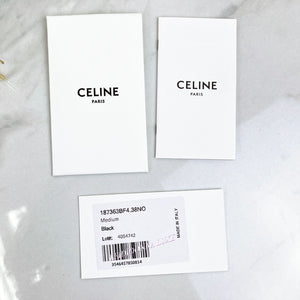 Celine Triomphe Classique Black Gold-tone Hardware