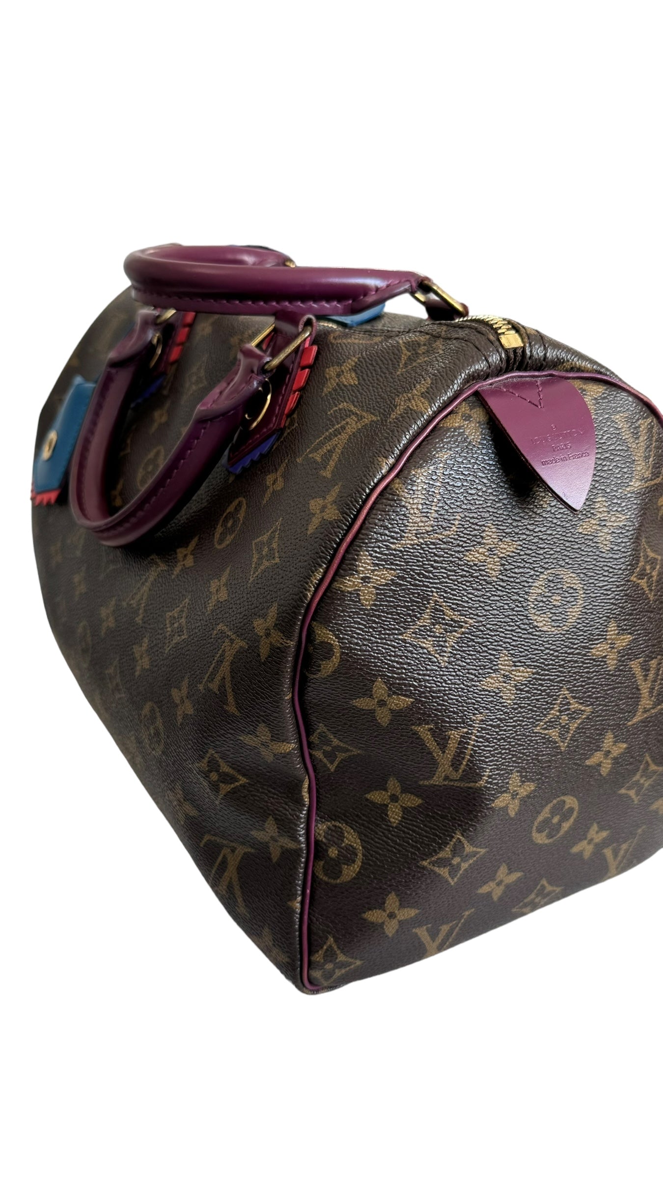 Louis Vuitton LV Speedy 30 Monogram Totem Collection