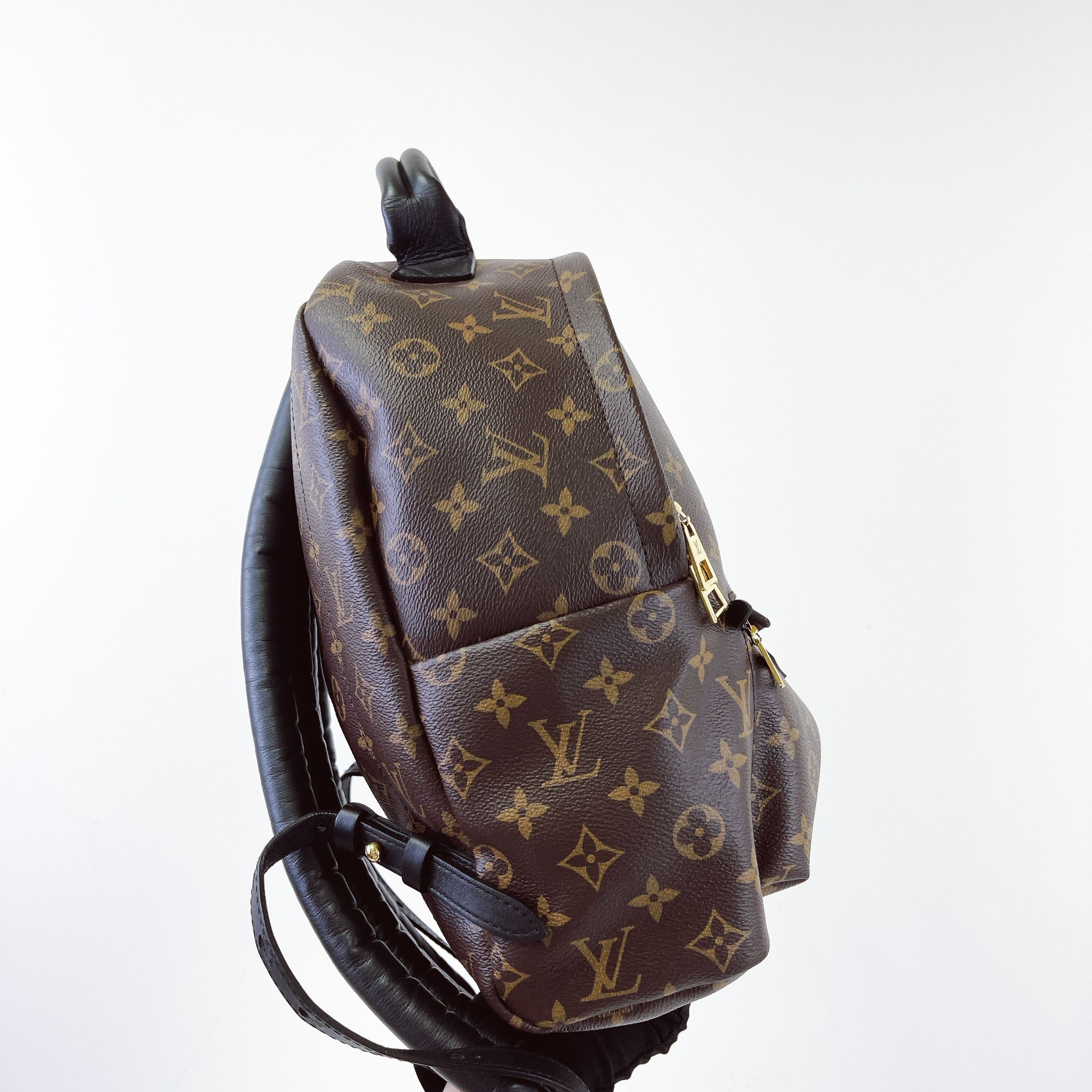 Louis Vuitton Palm Spring MM Monogram Backpack