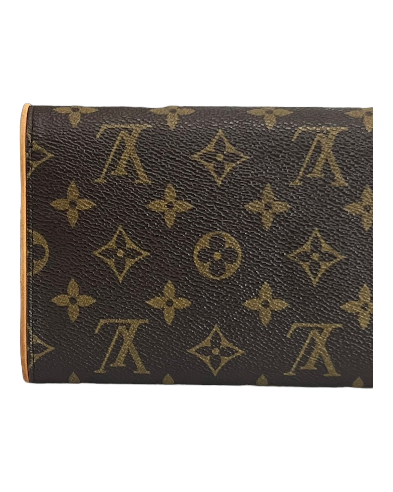 Louis Vuitton LV Twin Pochette