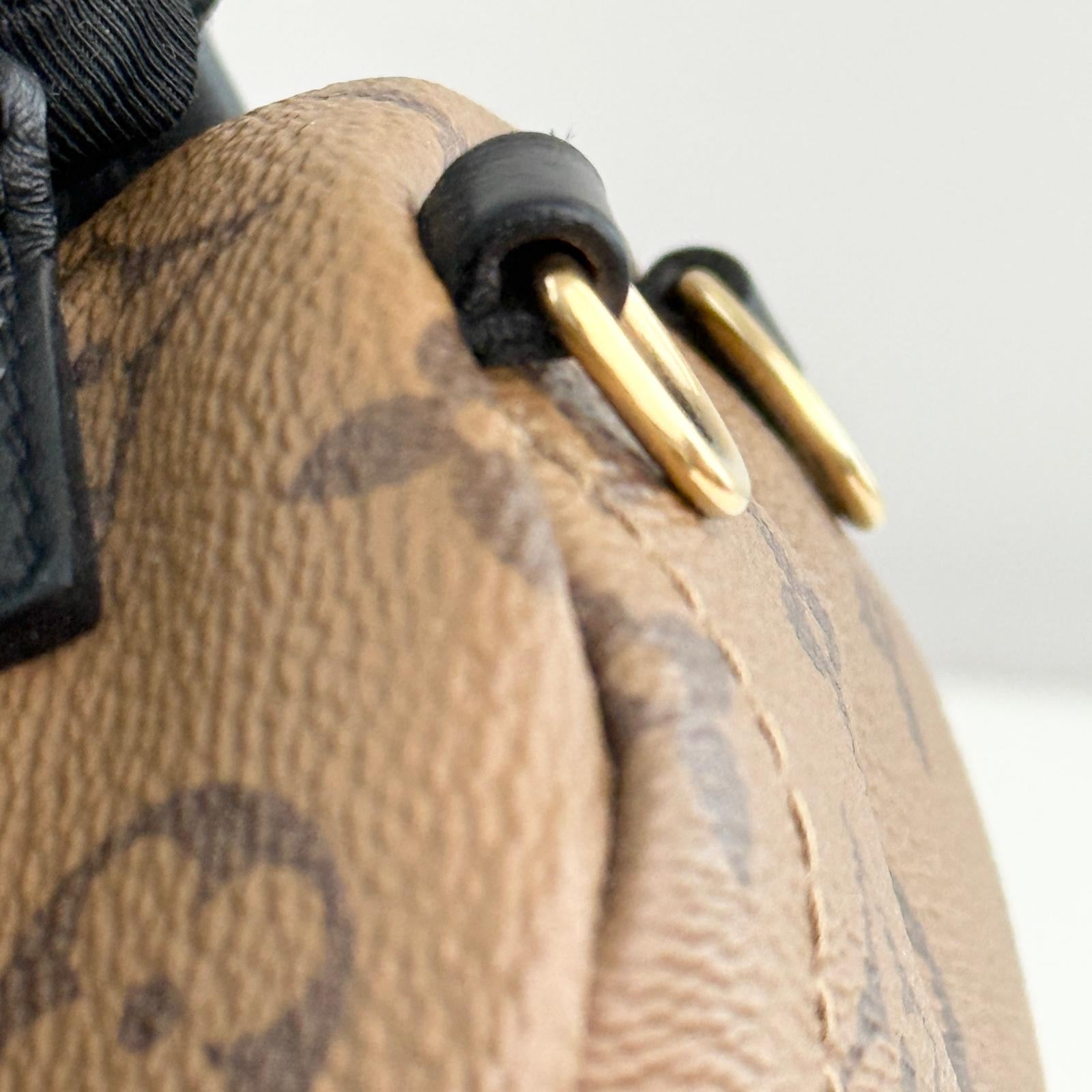 Louis Vuitton Palm Spring Backpack Mini Reverse Monogram