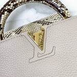 Load image into Gallery viewer, Louis Vuitton Capucine Mini
