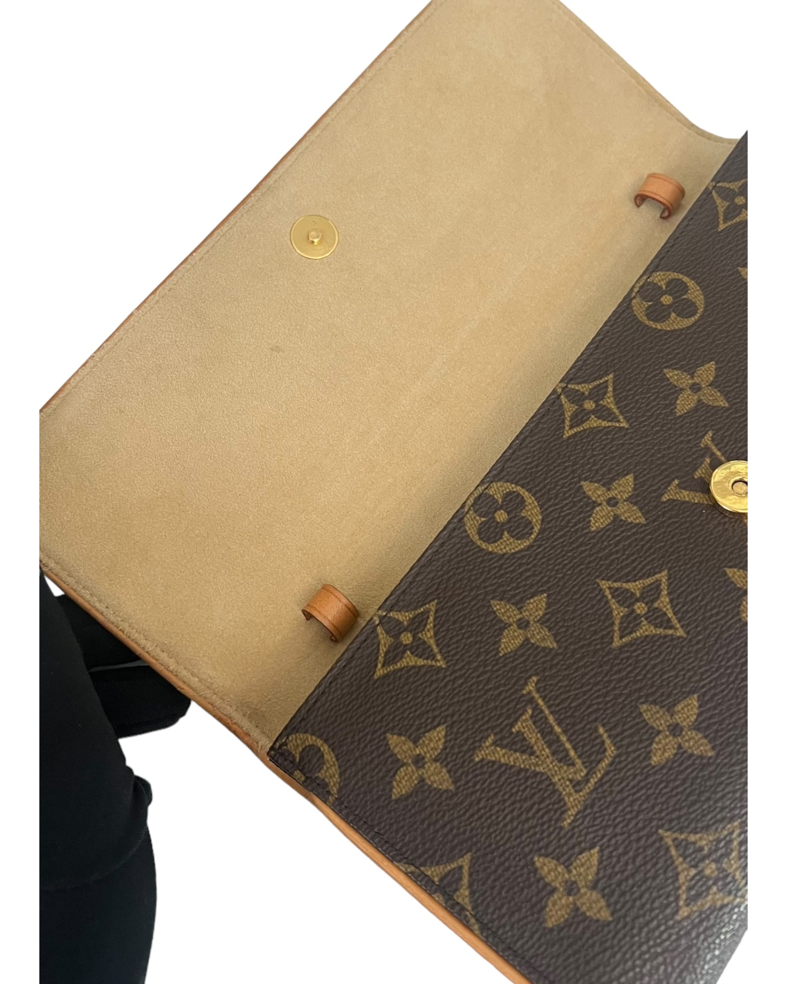 Louis Vuitton LV Twin Pochette