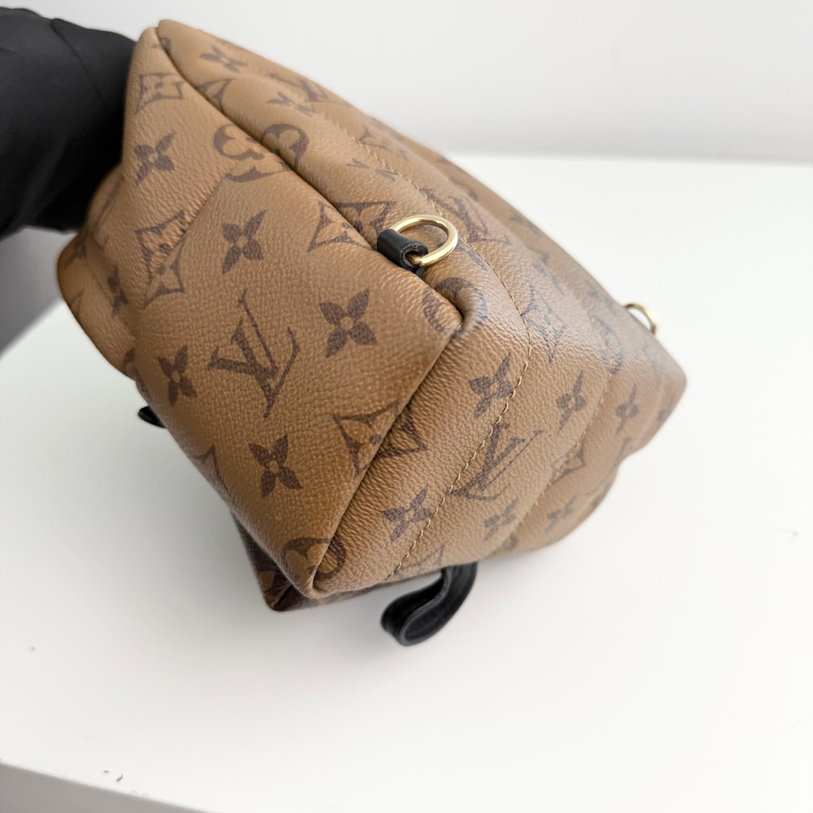 Louis Vuitton Palm Spring Backpack Mini Reverse Monogram