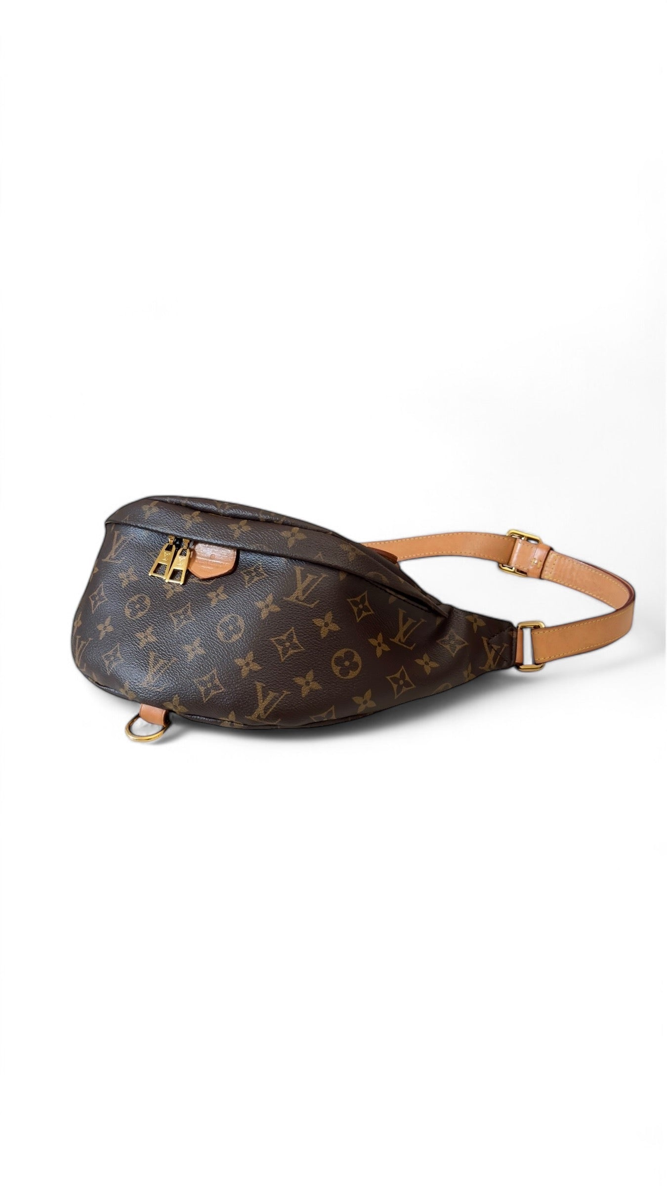 Louis Vuitton Monogram Bumbag