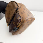将图片加载到图库查看器，Louis Vuitton Palm Spring Backpack Mini Reverse Monogram
