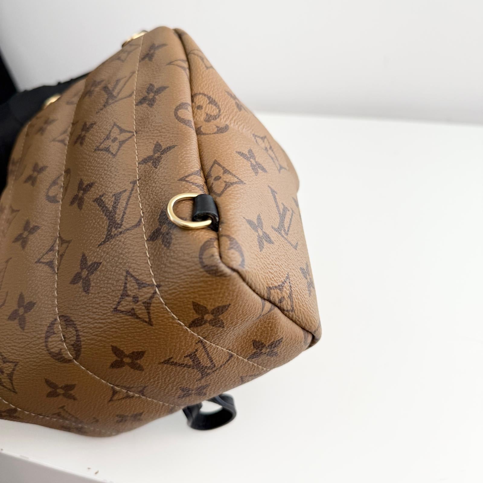 Louis Vuitton Palm Spring Backpack Mini Reverse Monogram
