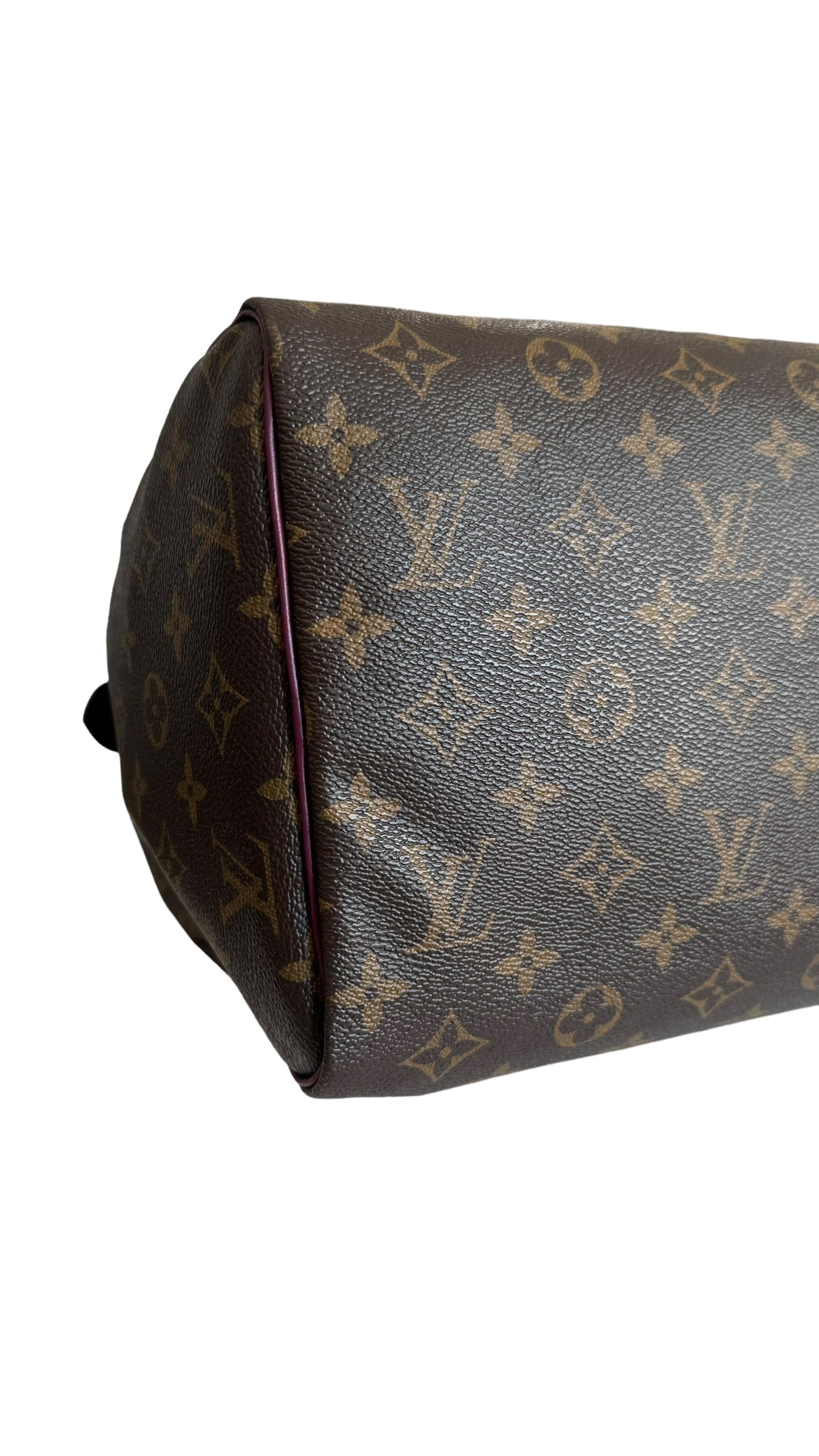 Louis Vuitton LV Speedy 30 Monogram Totem Collection