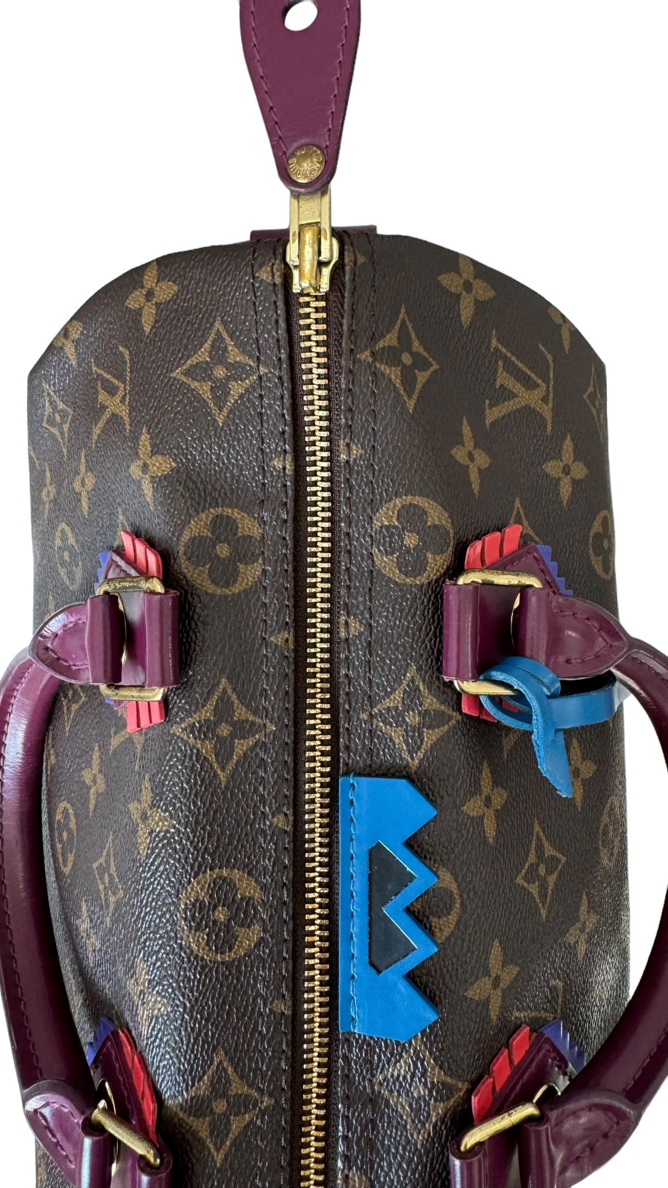 Louis Vuitton LV Speedy 30 Monogram Totem Collection