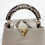 Load image into Gallery viewer, Louis Vuitton Capucine Mini
