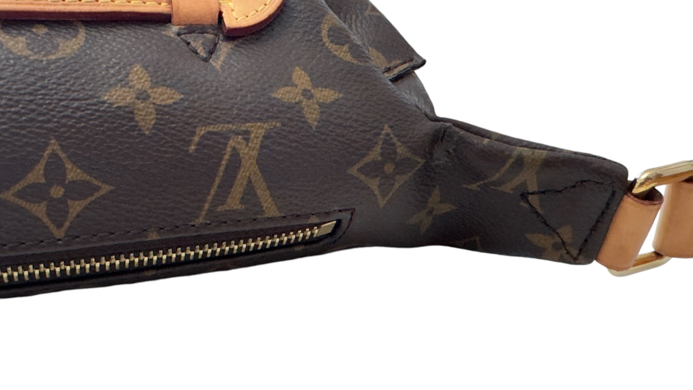 Louis Vuitton Monogram Bumbag