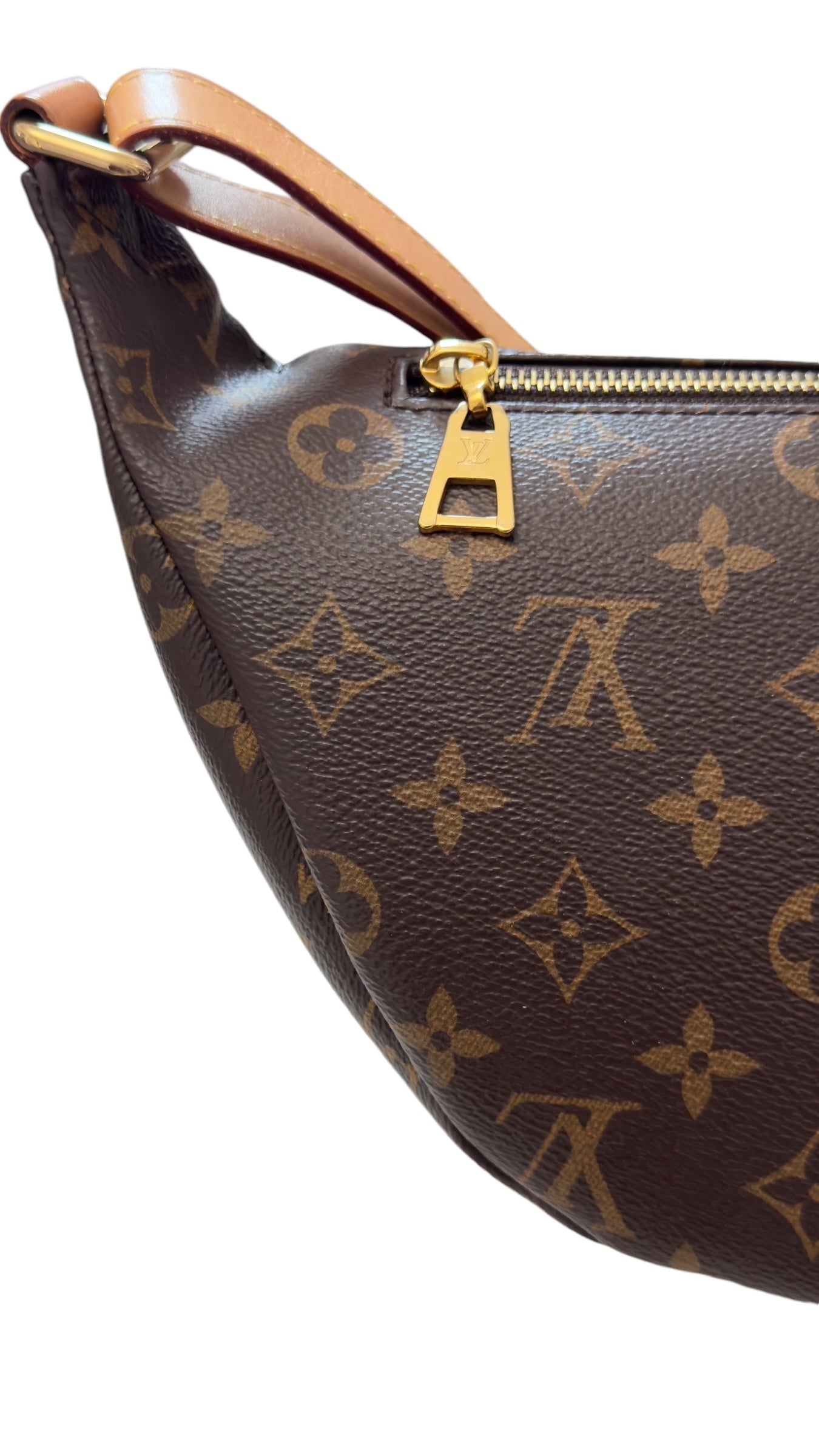 Louis Vuitton Monogram Bumbag