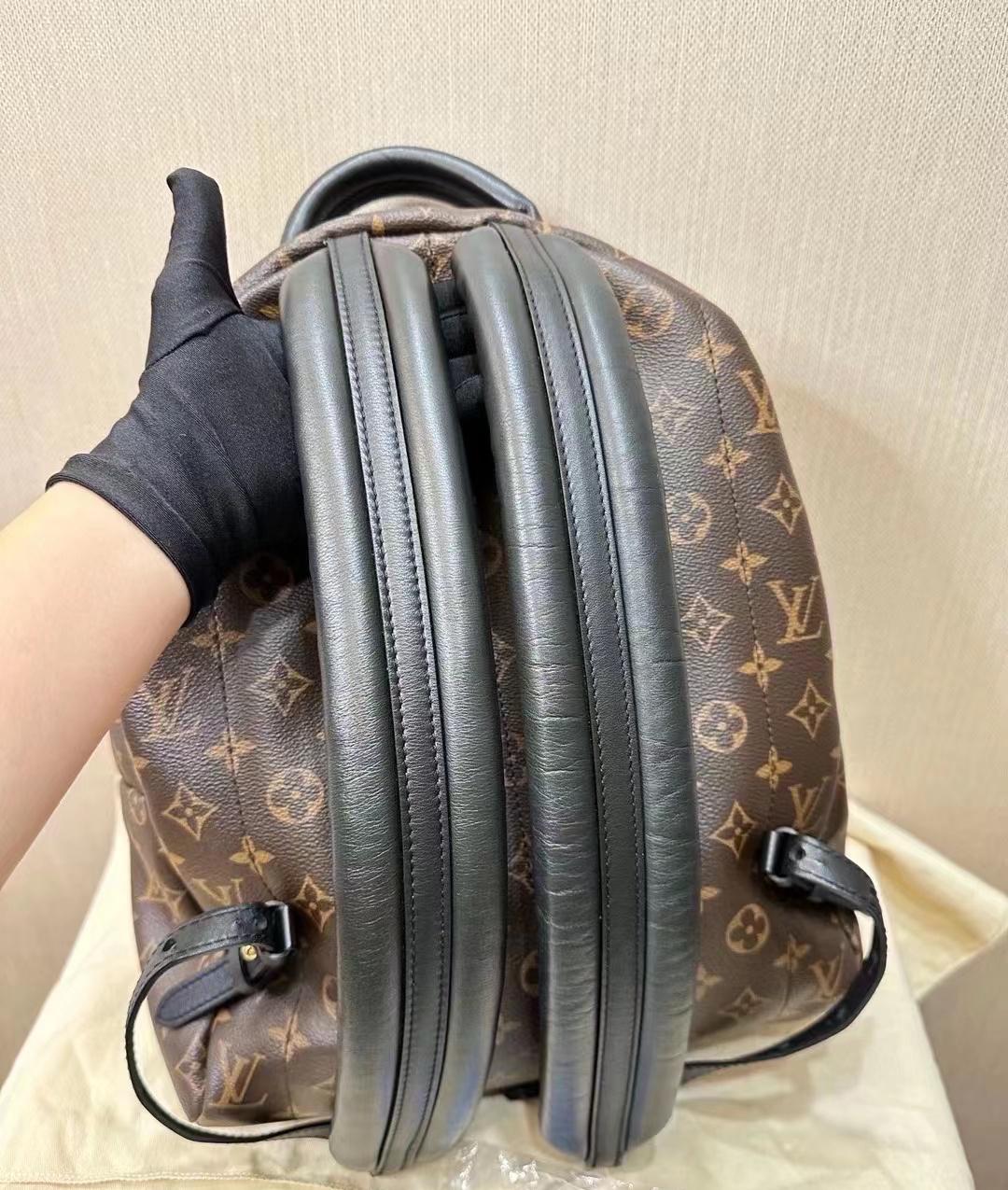 Louis Vuitton Palm Spring MM Monogram Backpack