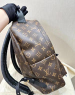 Load image into Gallery viewer, Louis Vuitton Palm Spring MM Monogram Backpack
