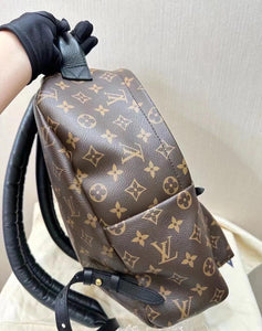 Louis Vuitton Palm Spring MM Monogram Backpack