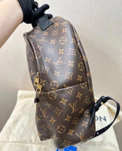 Louis Vuitton Palm Spring MM Monogram Backpack