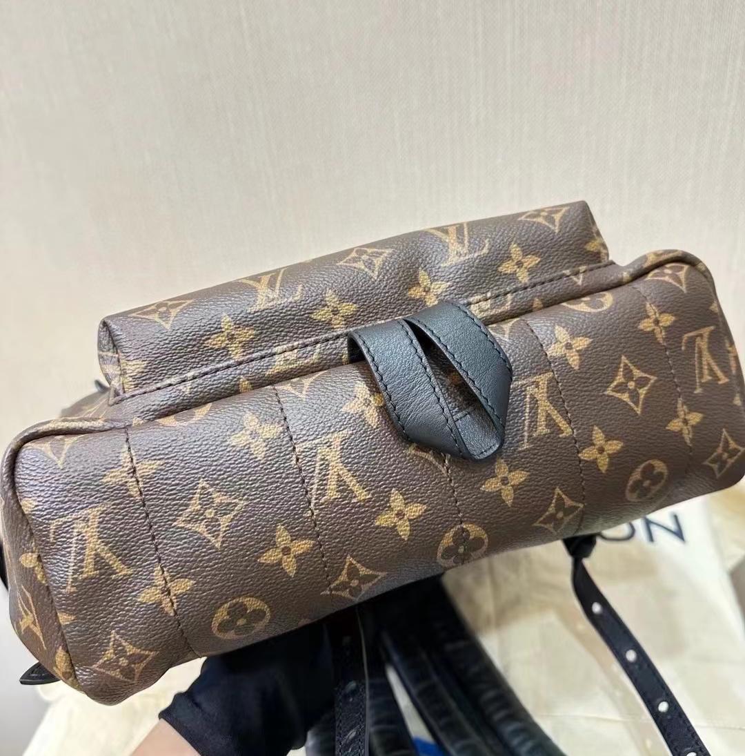 Louis Vuitton Palm Spring MM Monogram Backpack