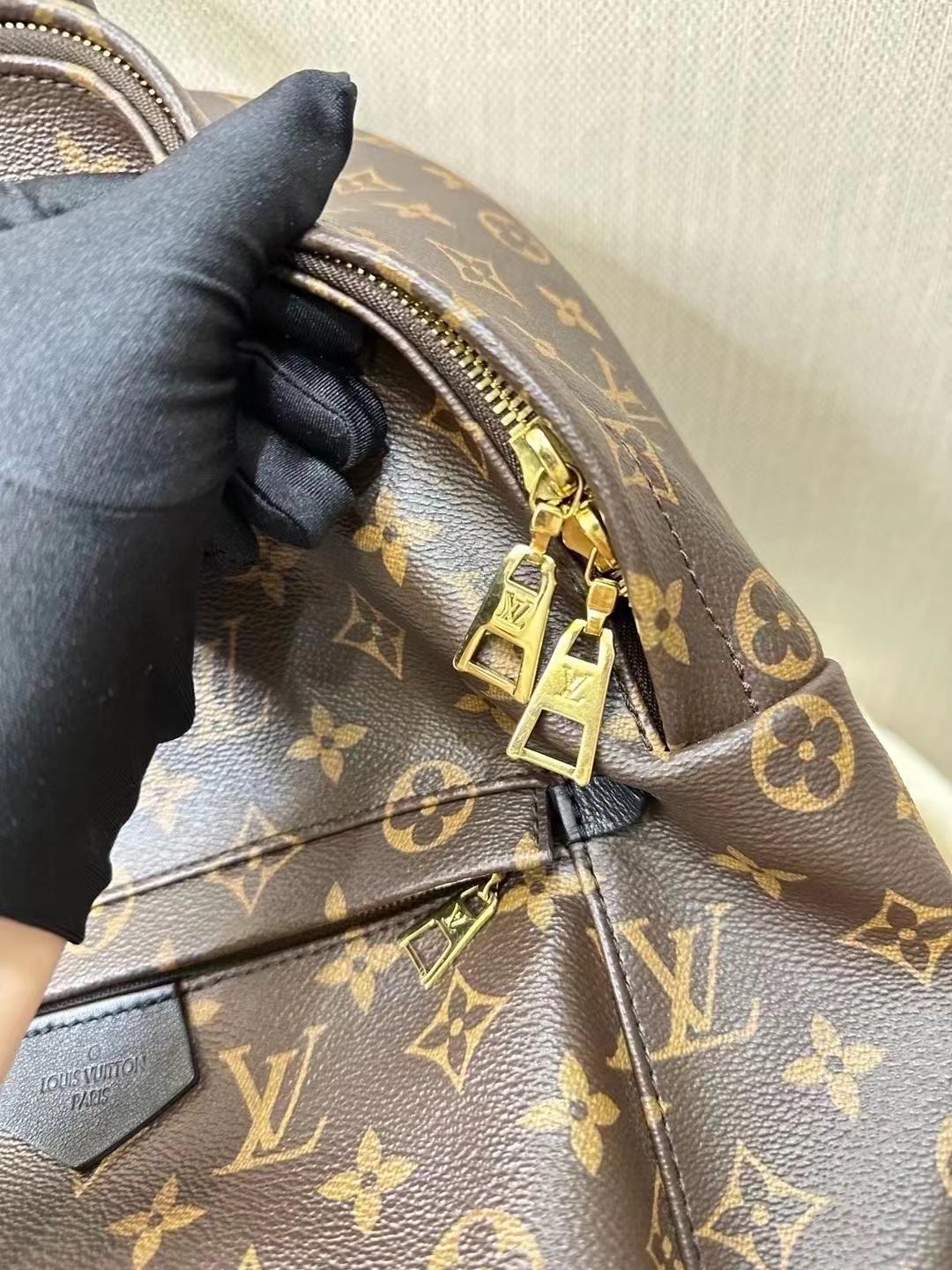 Louis Vuitton Palm Spring MM Monogram Backpack