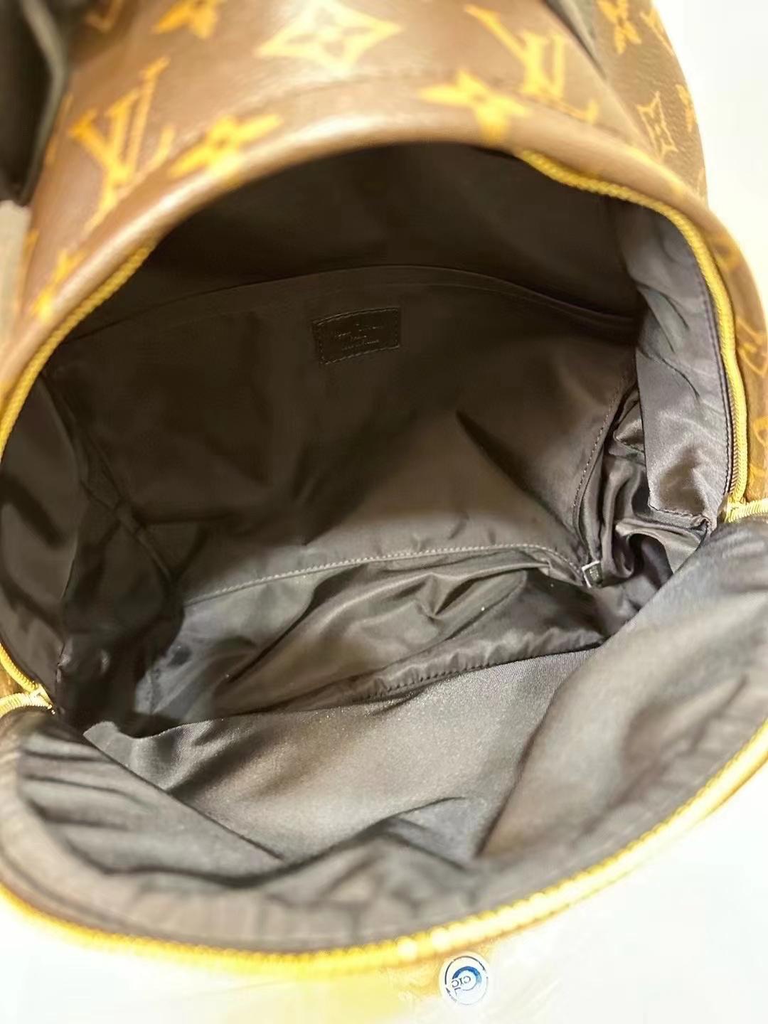 Louis Vuitton Palm Spring MM Monogram Backpack