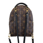 Charger l&#39;image dans la galerie, Monogram Love Lock Mini Palm Springs Backpack
