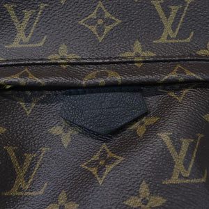 LV PALM SPRING PM BACKPACK
